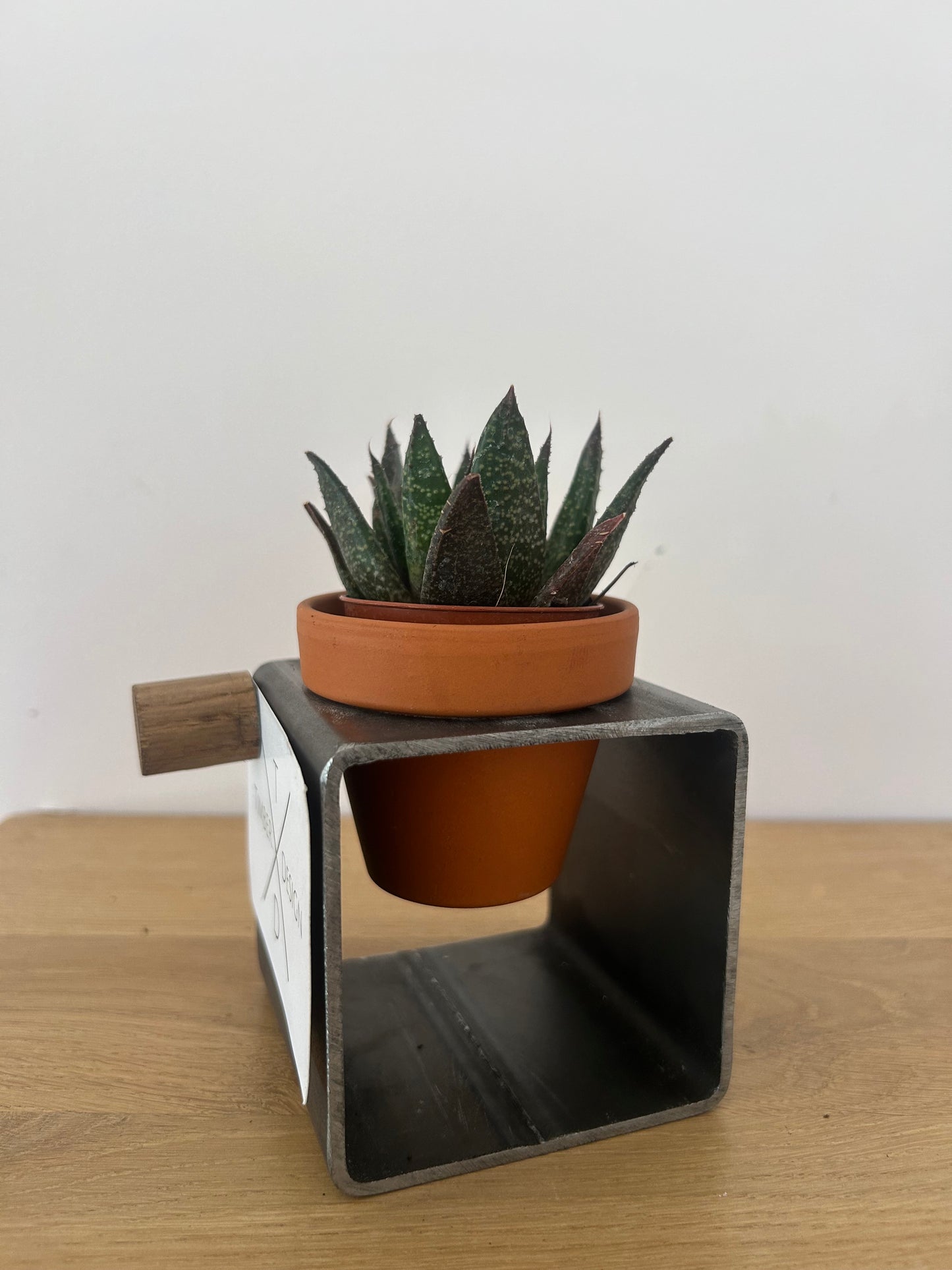 Handgefertigte Metall-Blumentopfhalter mit 3 Töpfen | 3 Größen | Industrial Design Deko für Sukkulenten & Zimmerpflanzen