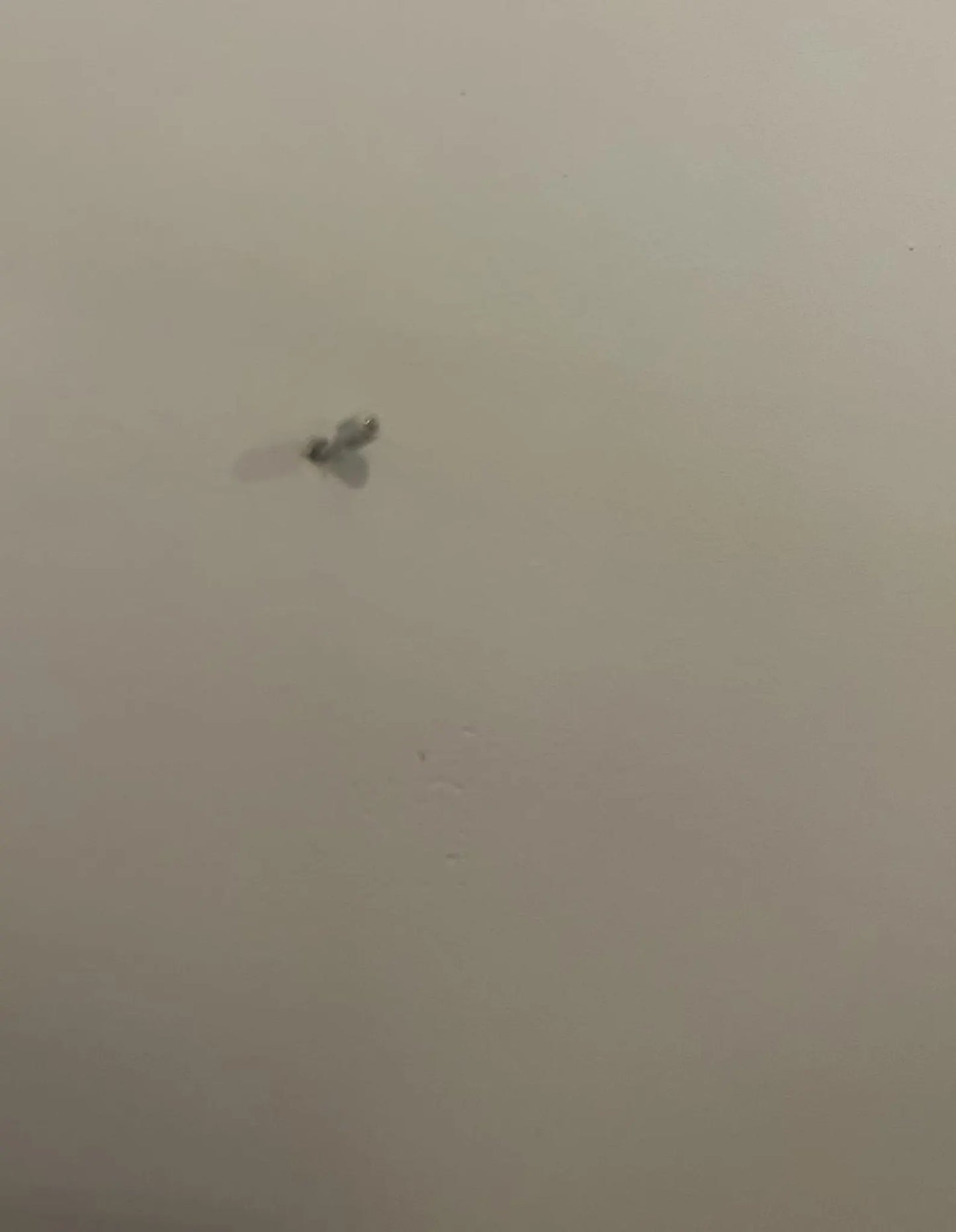 Picture ledge made of oak wood | Photo ledge wall | Picture holder | Card holder | Photo rail | Gift | Handmade idea for pictures in landscape format